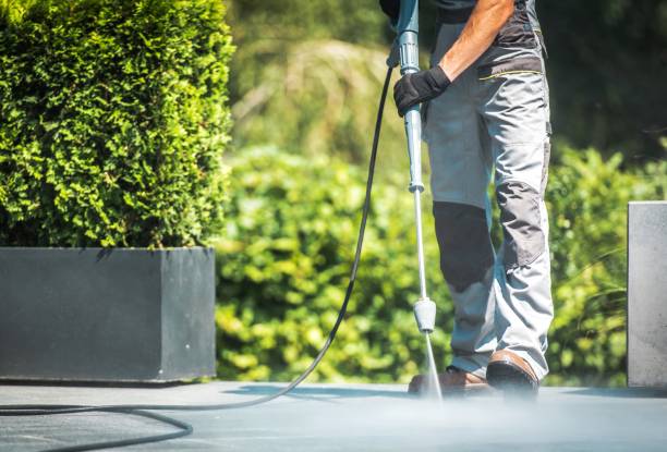 Best Fence Cleaning  in Greenwood, PA